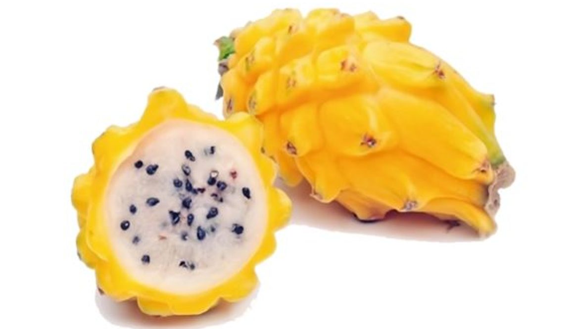 Pitahaya